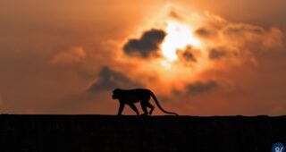 Sunrise over Angkor Wat