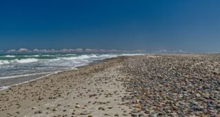 Skagens Westküste – Dänemark