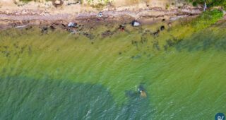 Mit der Drohne auf dem Großen Zicker